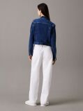 Denim Jacheta Denim Cropped Stil Anii 90  Femei