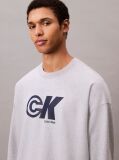 Grey Relaxed Graphic Logo Sweatshirt  Men