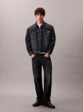 Denim Jacheta Denim Stil Anii 90  Barbati