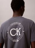 Grey Embroidered Logo T-shirt  Men