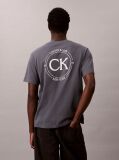 Grey Embroidered Logo T-shirt  Men