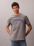 Gri Tricou Cu Logo NYC Brodat   Barbati