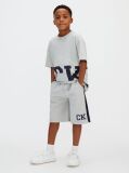 Grey Relaxed Varsity Logo Shorts  Boys