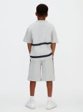 Grey Relaxed Varsity Logo Shorts  Boys