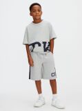 Grey Relaxed Varsity Logo Shorts  Boys