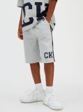 Grey Relaxed Varsity Logo Shorts  Boys