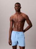 Albastru Pantaloni Scurti De Inot Core Solid  Barbati