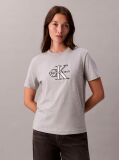 Gri Tricou Clasic Cu Logo Grafic Shine Monologo  Femei