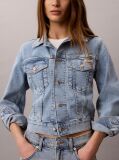 Denim Jacheta Trucker Din Denim Cu Croiala Cropped  Femei