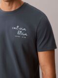 Albastru Tricou Cu Guler Rotund Si Logo Grafic  Barbati