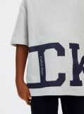 Grey Logo T-shirt  Boys