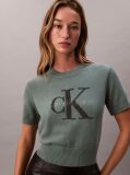 Verde Pulover Cropped Monologo  Femei