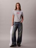 Grey Script Logo Graphic Slim T-Shirt  Women