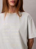 Grey Short Sleeve Cropped Boxy Graphic T-Shirt  Women