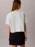 Grey Short Sleeve Cropped Boxy Graphic T-Shirt  Women