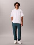 Verde Joggeri Din Premium Fleece  Barbati