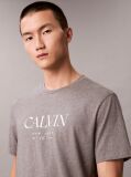 Gri Tricou Cu Decolteu Rotund Si Imprimeu Calvin  Barbati