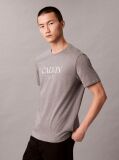 Gri Tricou Cu Decolteu Rotund Si Imprimeu Calvin  Barbati
