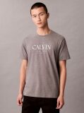 Gri Tricou Cu Decolteu Rotund Si Imprimeu Calvin  Barbati