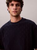 Blue Emblem Logo Towelling T-shirt  Men