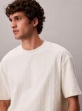 Beige Emblem Logo Towelling T-shirt  Men