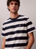 Blue Cotton Stretch Stripe T-shirt  Men