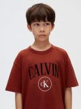 Rosu Tricou Pentru Copii Cu Logo Grafic  Baieti