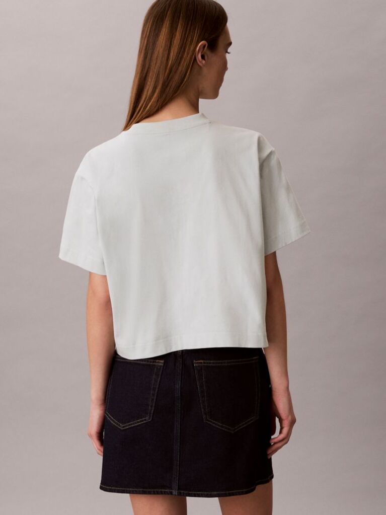 Grey Short Sleeve Cropped Boxy Graphic T-Shirt  Women