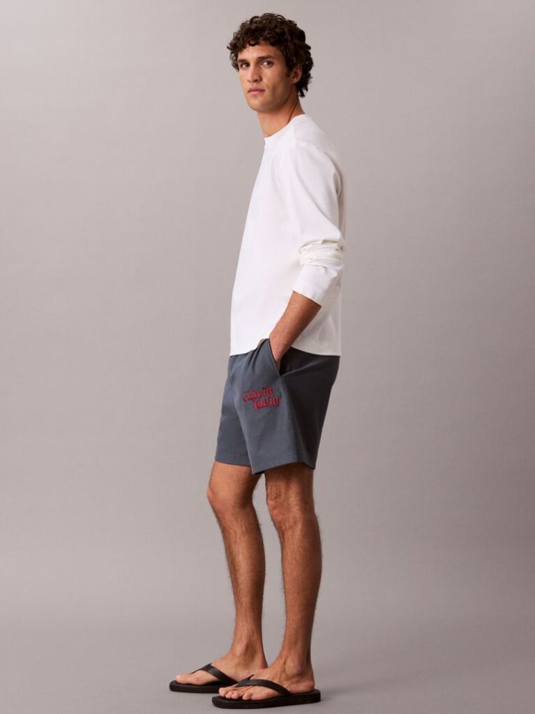 Albastru Pantaloni Scurti Jogger Cu Logo Brodat  Barbati